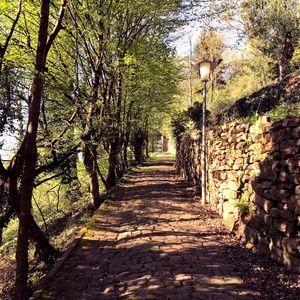 Meet your Posher, Elaine